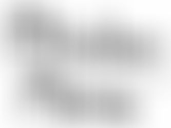 Atelier Nina(アトリエ にな)