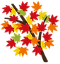 kouyou_eda_momiji.png