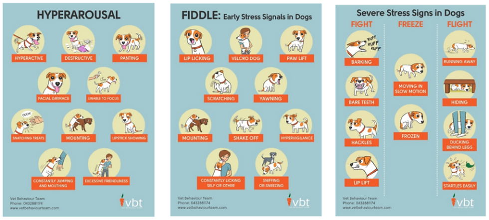 A series of illustrations depicting various signals of anxiety such as panting, grimace, lip licking, paw lift and yawning