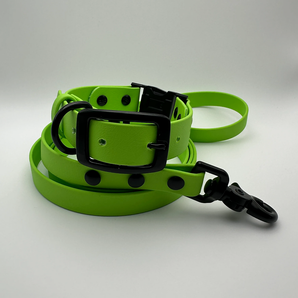 Thumbnail: QuickAdapt Collar and Leash Set (Green Apple)