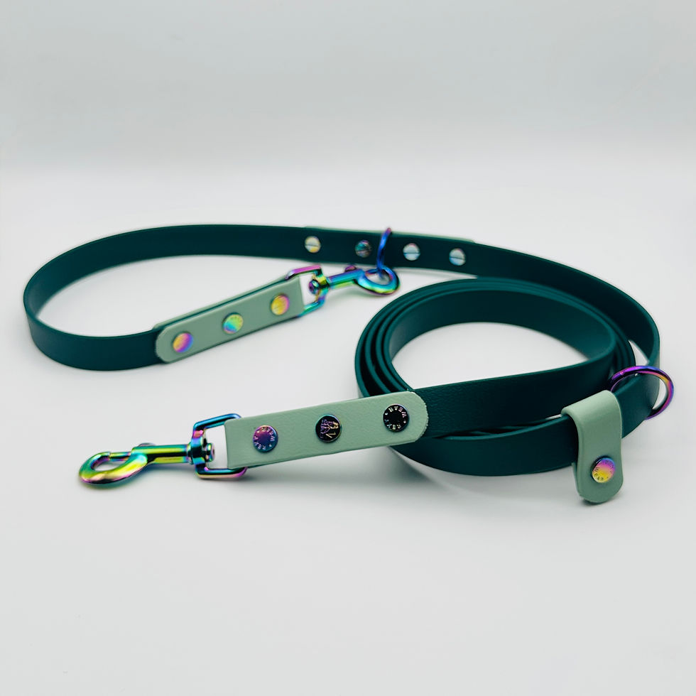 Thumbnail: Loop & Go Hands-Free Leash (Two-Tone)