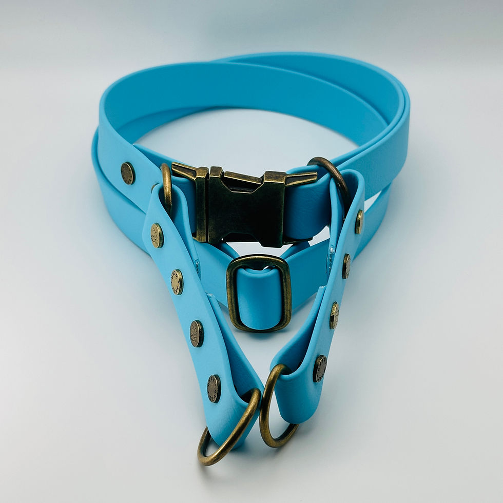 Thumbnail: Paw-Flex Hands-Free Belt/Sling - Base System (Sky Blue)