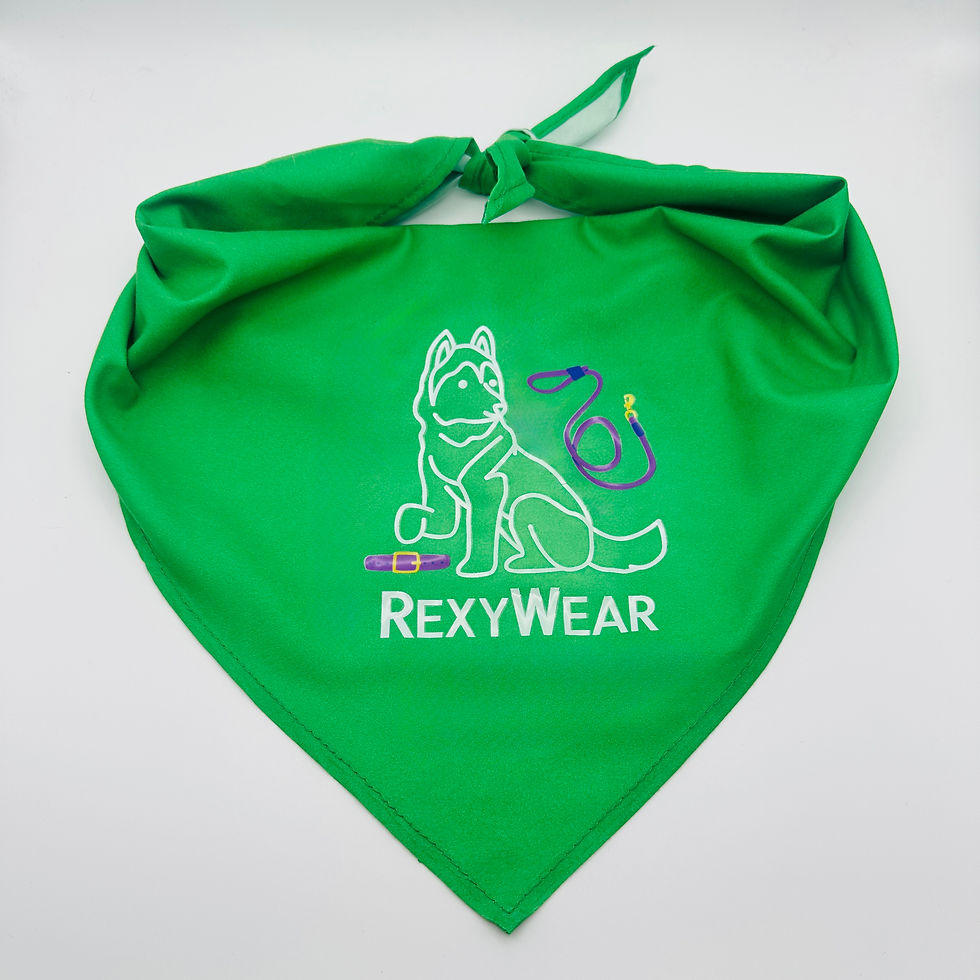 Thumbnail: The Swagger Scarf Bandana – RexyWear Merch