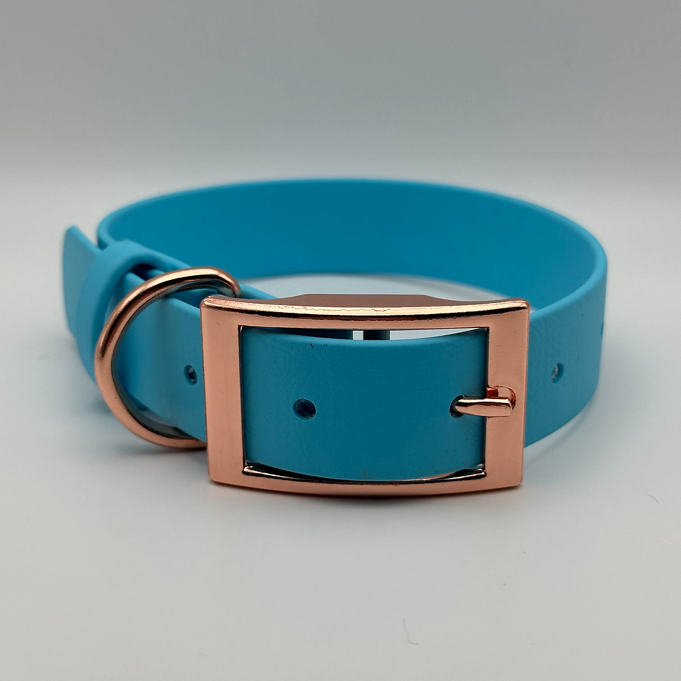 Thumbnail: TailorPup Elegant Collar (Sky Blue)