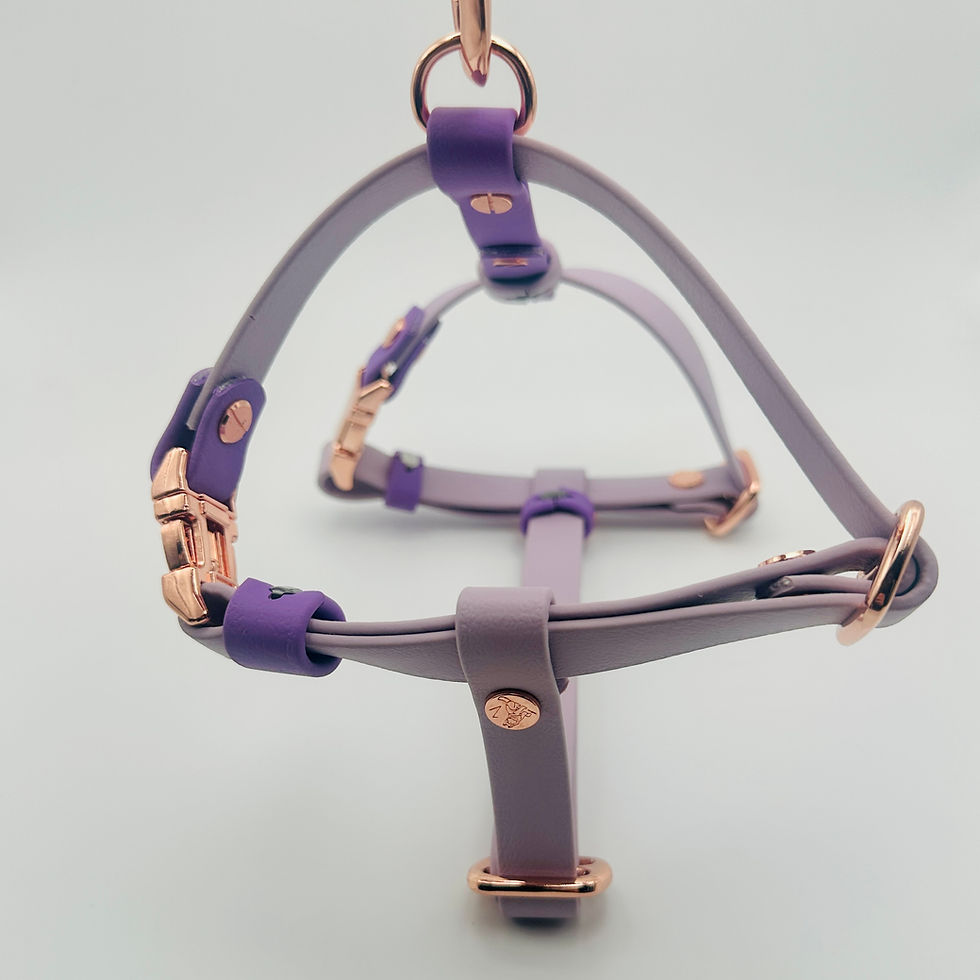 Thumbnail: TailorPup Everyday Harness - Model H (Two-Tone)