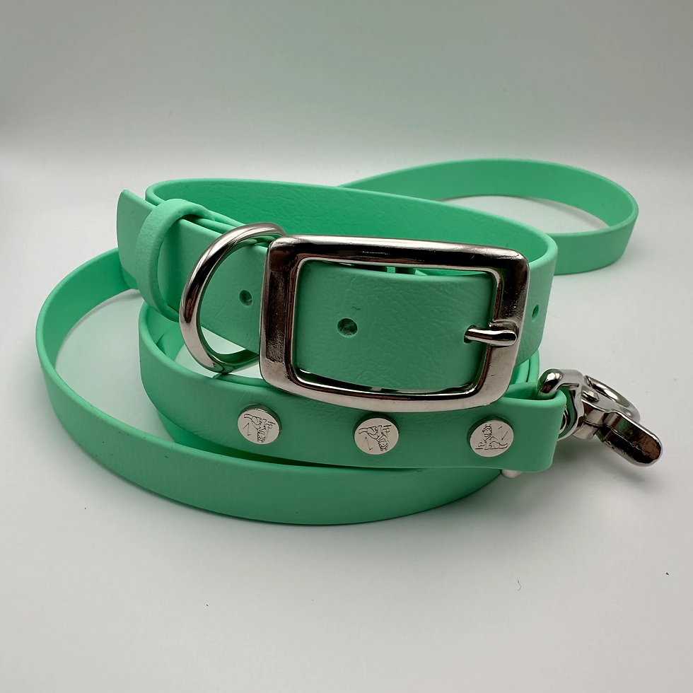 Thumbnail: TailorPup Collar and Leash Set (Sea Foam)