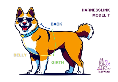 RexyWear Measurements.png