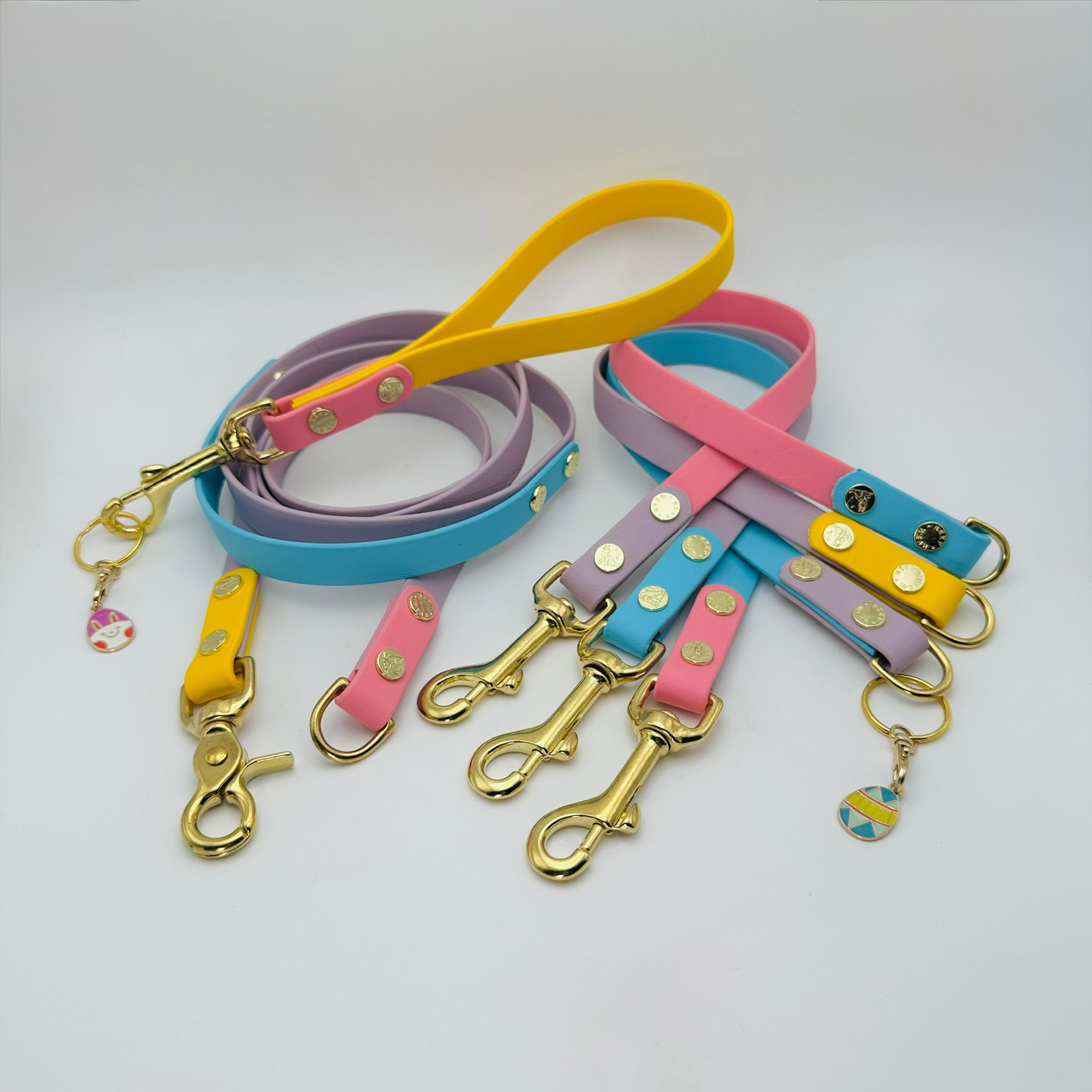 Paw-Flex Hands-Free Leash Multi (Easter Eggs)