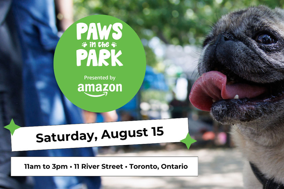 Paws in the Park 2026