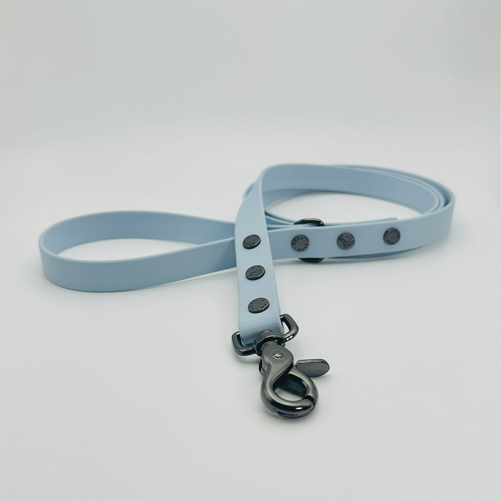 Thumbnail: TailorPup Prestige Leash (Cloud Blue)