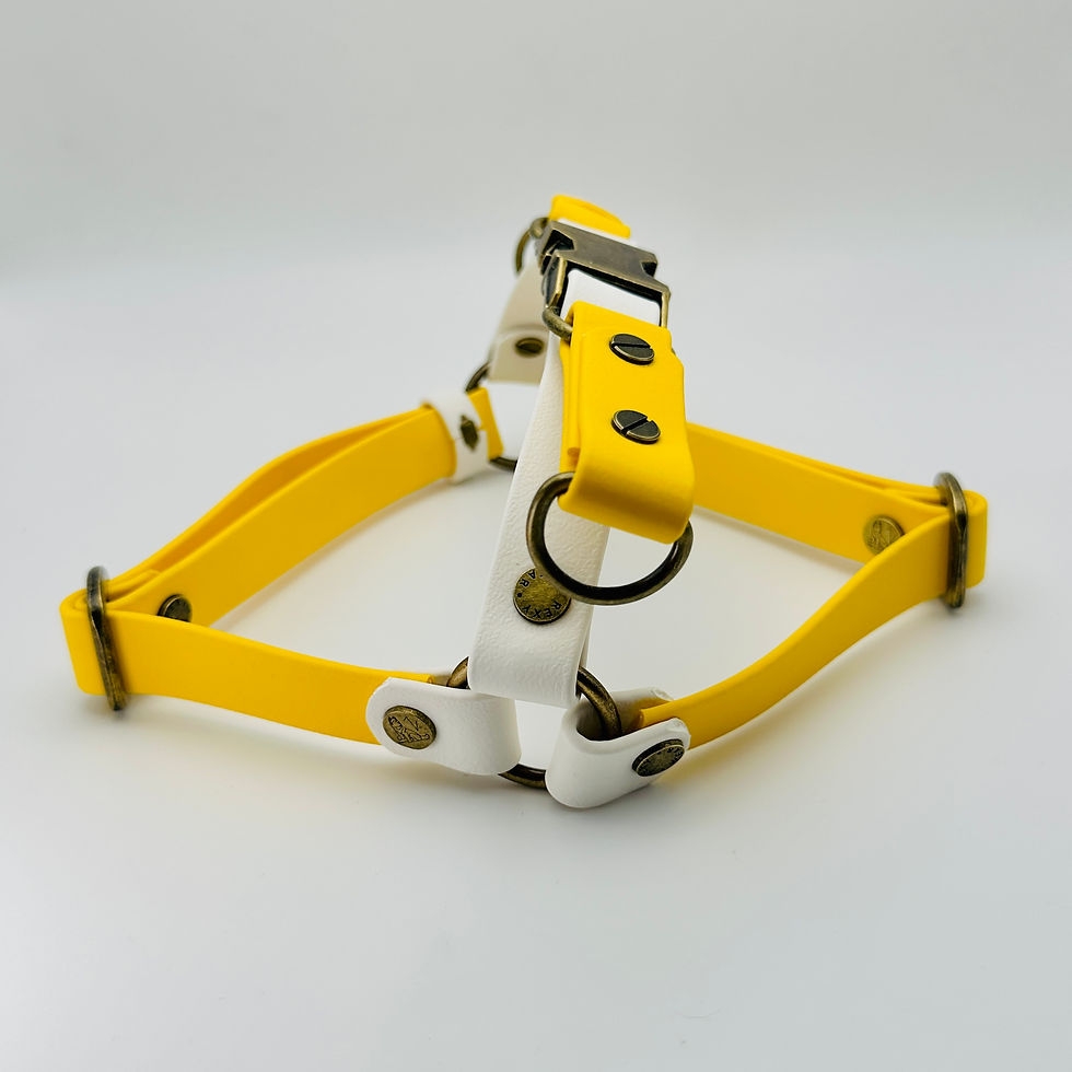 Thumbnail: TailorPup Step-In Harness - Model Y (Two-Tone)