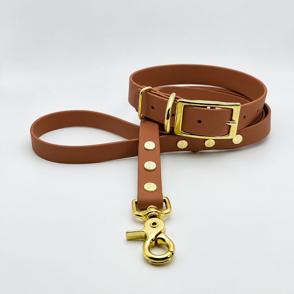 Thumbnail: TailorPup Collar and Leash Set (Caramel)