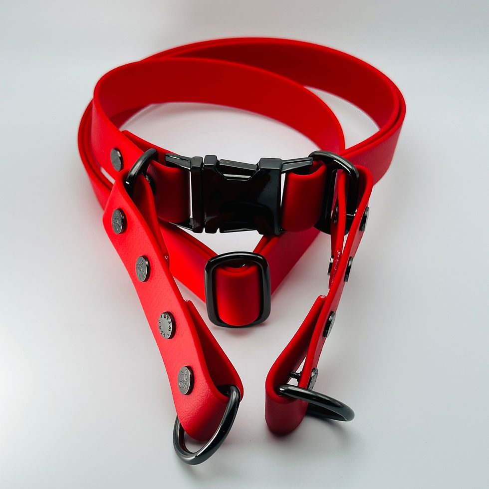 Thumbnail: Paw-Flex Hands-Free Belt/Sling - Base System (Cherry Red)