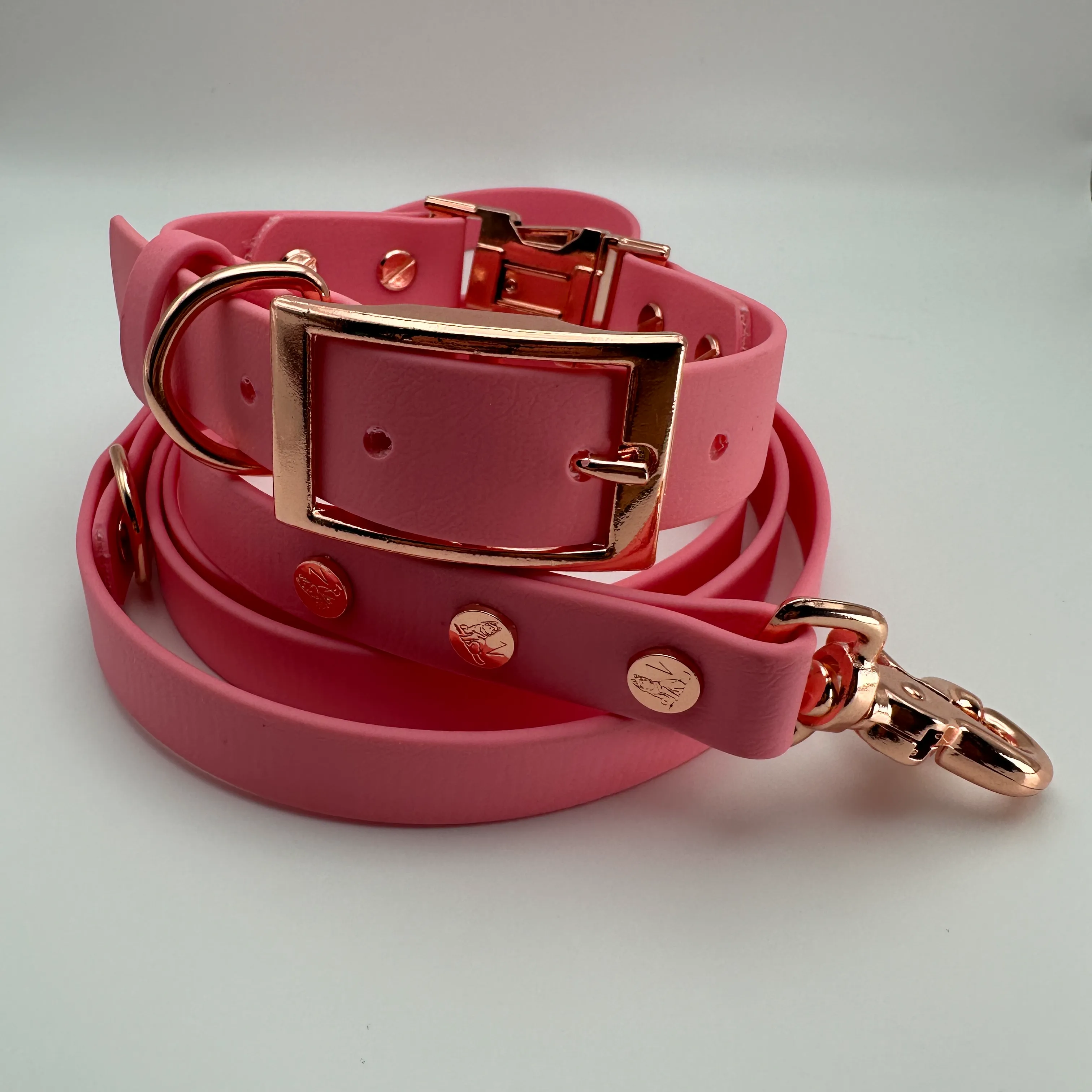 QuickAdapt Collar and Leash Set (Pastel Pink)