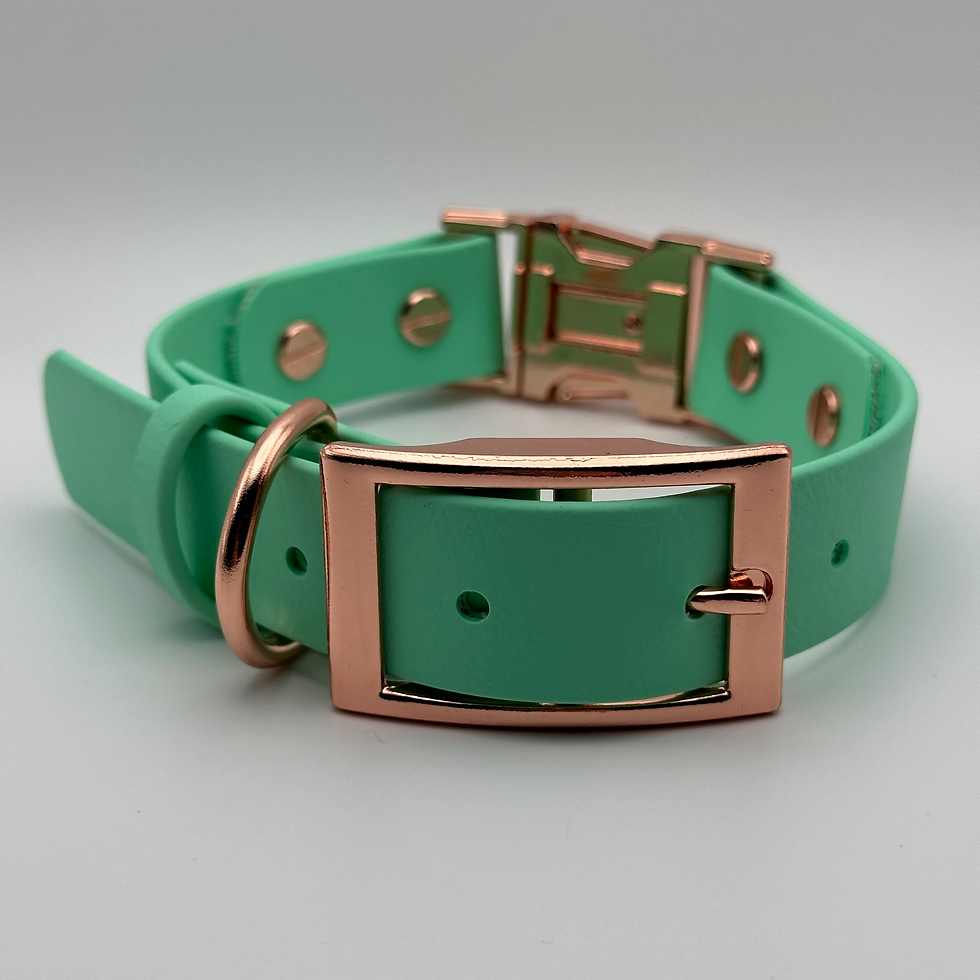 Thumbnail: QuickAdapt Duo Chic Collar (Sea Foam)