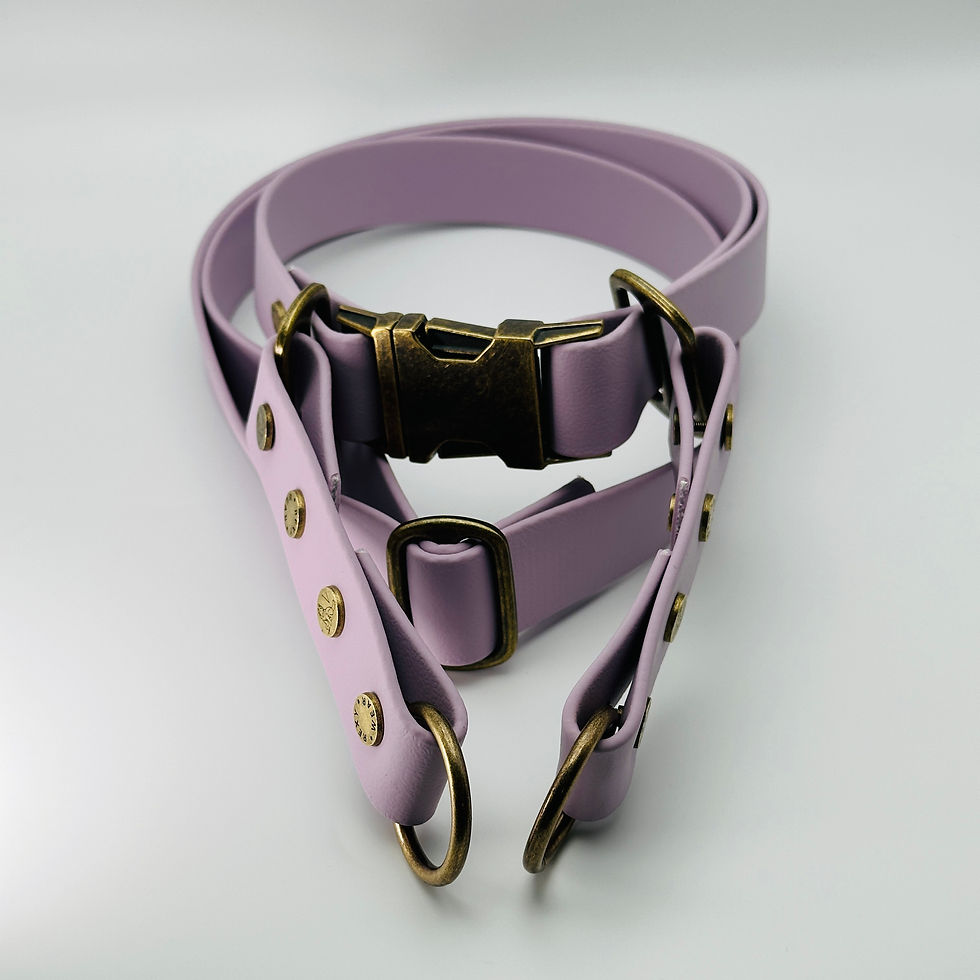 Thumbnail: Paw-Flex Hands-Free Belt/Sling - Base System (Lavender)