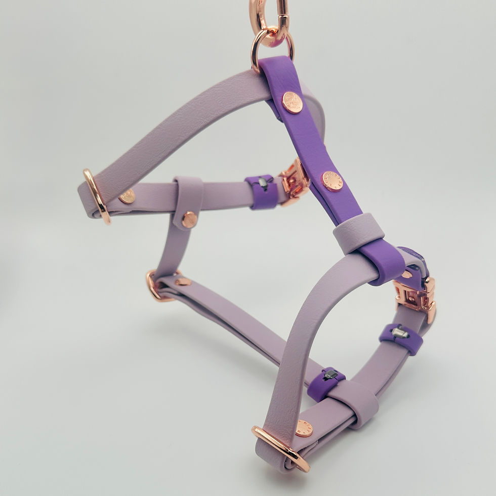 Thumbnail: TailorPup Everyday Harness - Model H (Two-Tone)