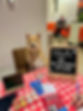 Rexy WeWork.JPG