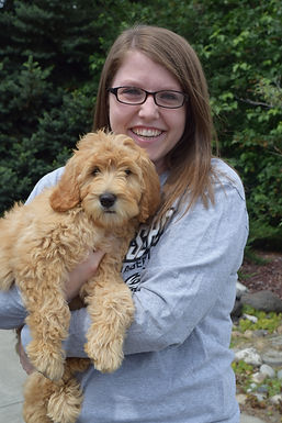 Bolingo Labradoodles