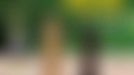 Conectando estratégia e finanças para criar o máximo de valor para a sua agrorrevenda