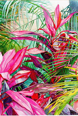 Pink Croton