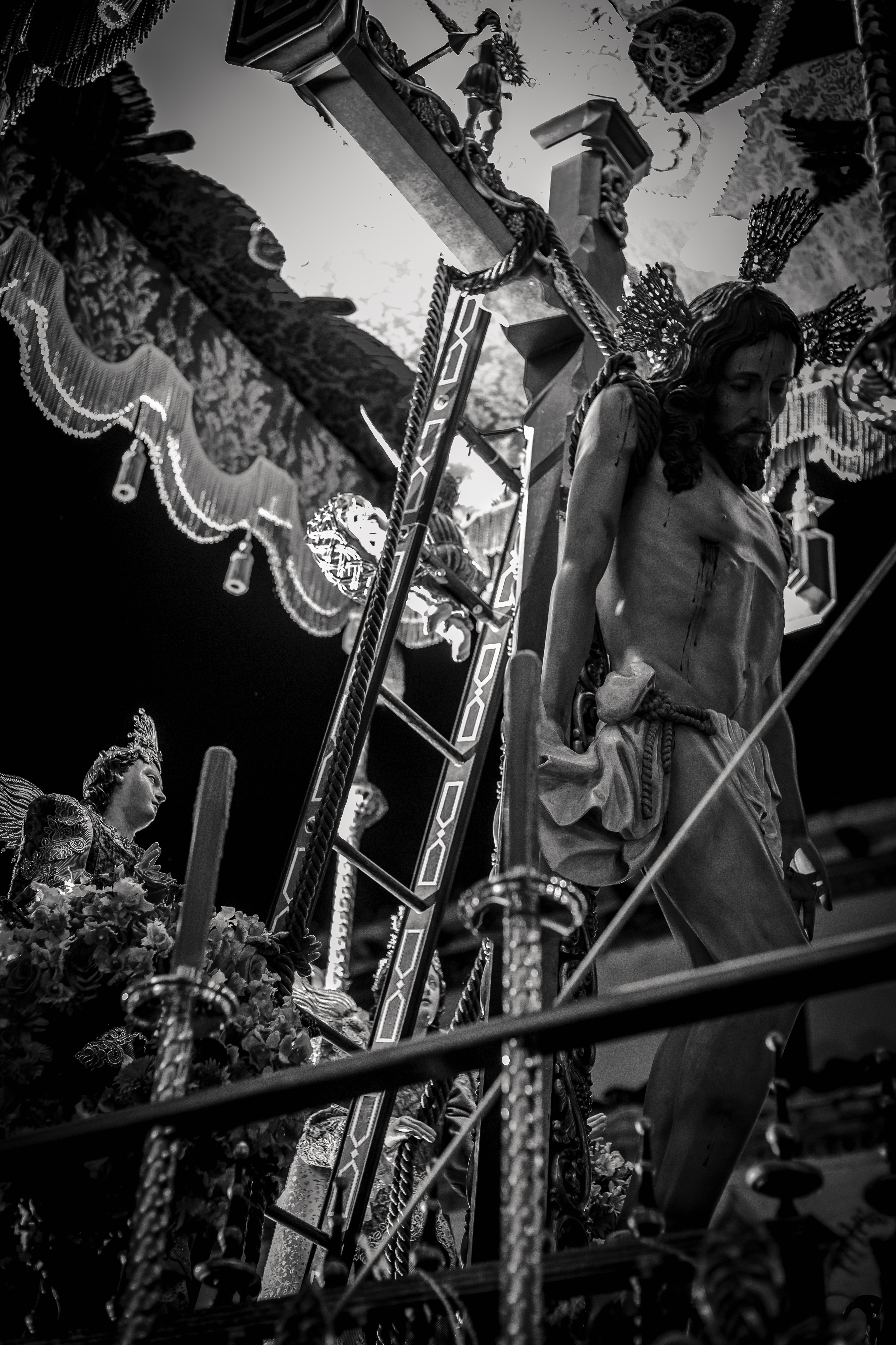 IMG_6455