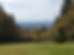 women-run-pdx-training-group.jpg