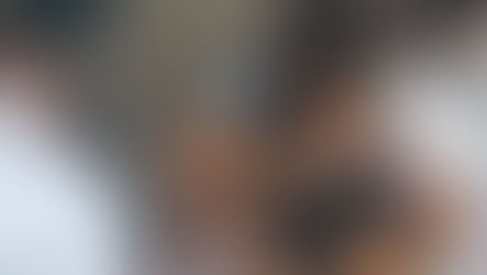 Vacinação antirrábica em Jaguariúna passa a ser realizada na sede da UVZ