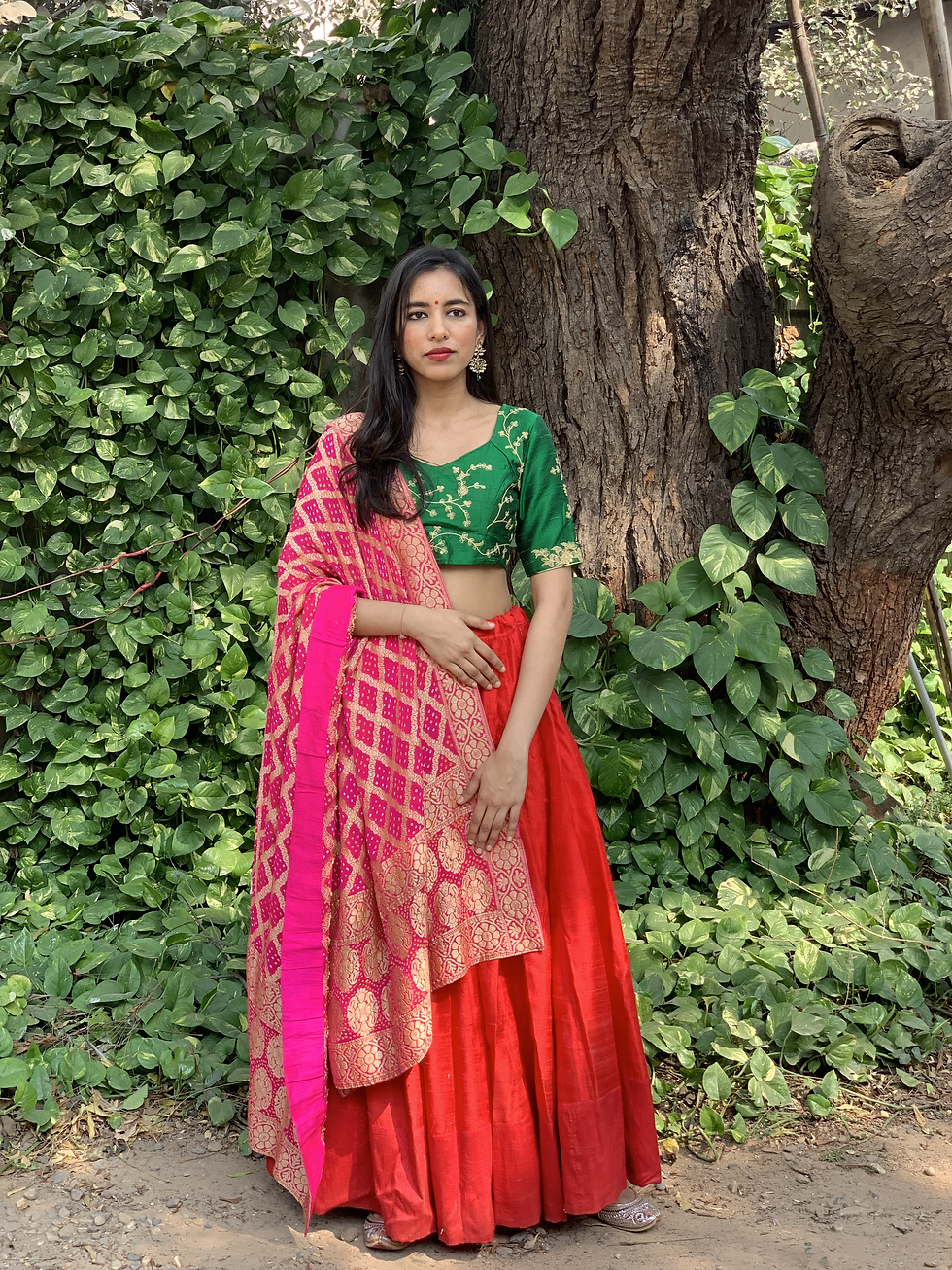 Lehenga Choli Set