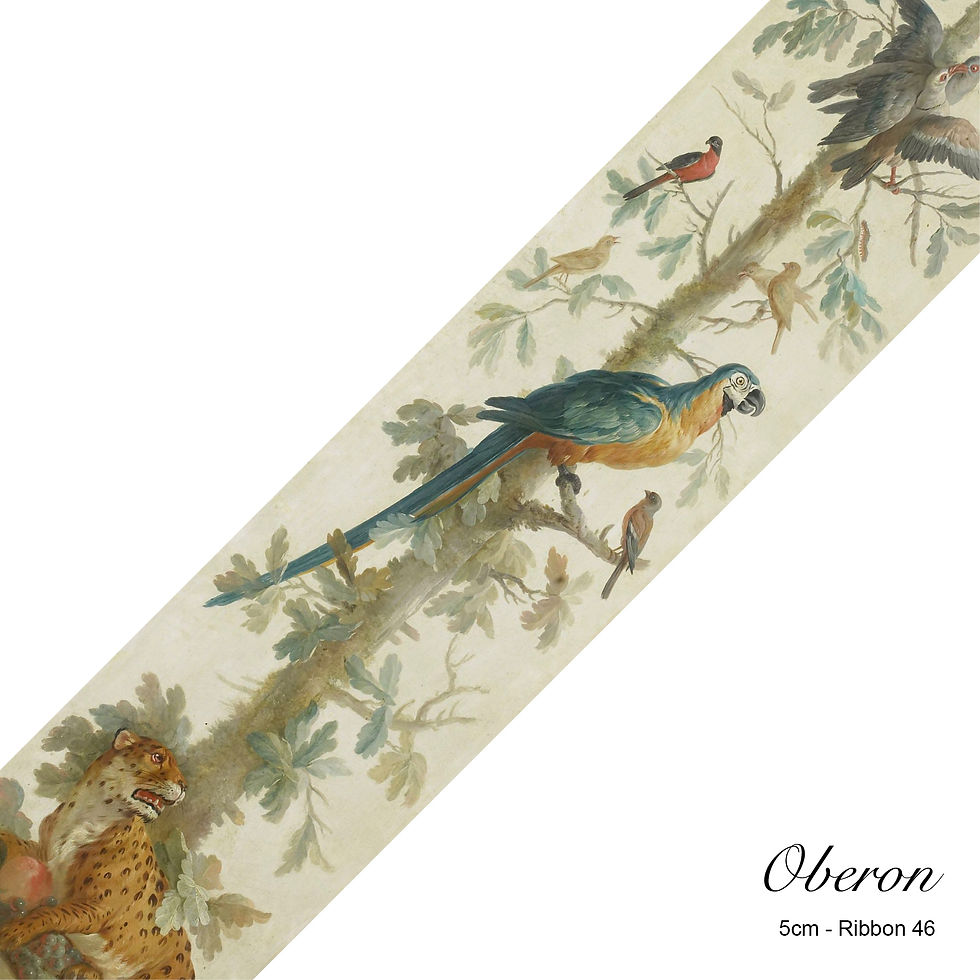 Oberon 5cm x 3m - Ribbon 46