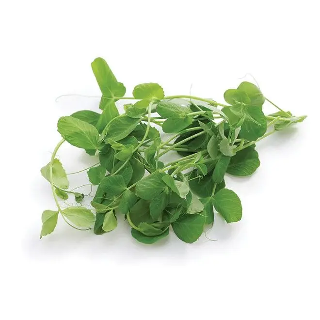 MICRO-POUSSES DE PETIT POIS 30G