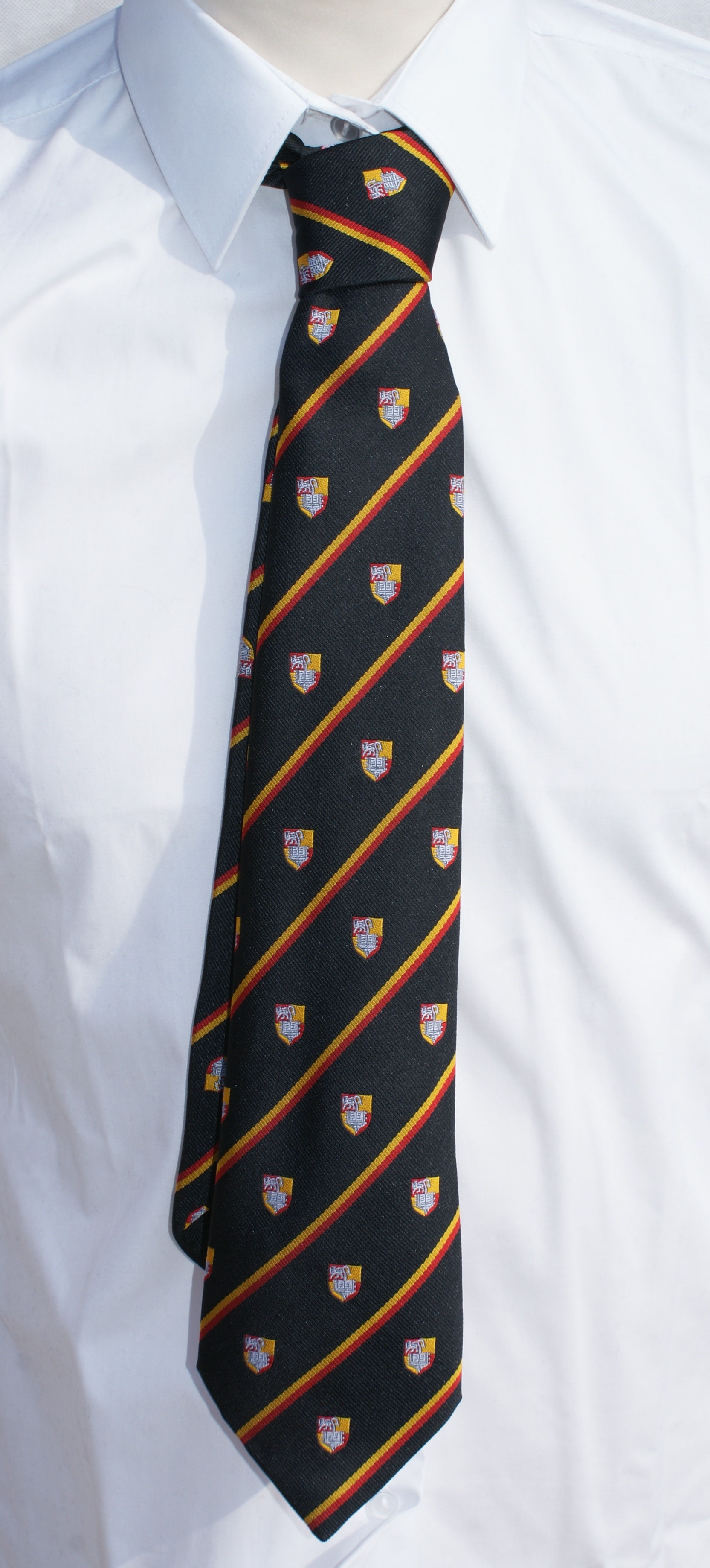 Sixth Form Tie