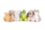 Personalised Soft Toys