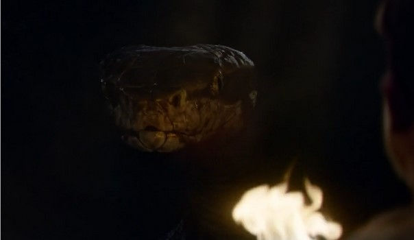 Grande cobra surge na escuridão, iluminada por uma tocha em chamas segurada por alguém que a encara de perto.