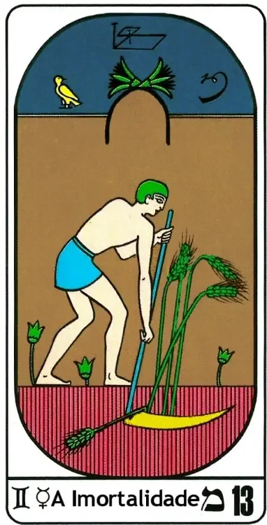 Ilustração em estilo cartoon de uma planta brotando de um vaso, com uma pessoa ajoelhada ao lado e folhas verdes no cenário, e um texto na parte inferior com “A Imortalidade 13”.