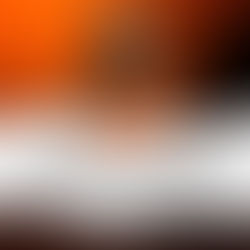 “Quem Vive de Passado é Museu” — Como Superar um Ex de Verdade (e Não Apenas Fingir Que Superou)