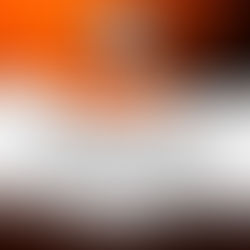 O Que Realmente Faz a Vida Valer a Pena? A Resposta Está na Nossa Infância