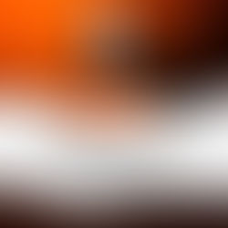 Por Que Repetimos os Mesmos Padrões? Freud Explica a Psicologia do Desejo