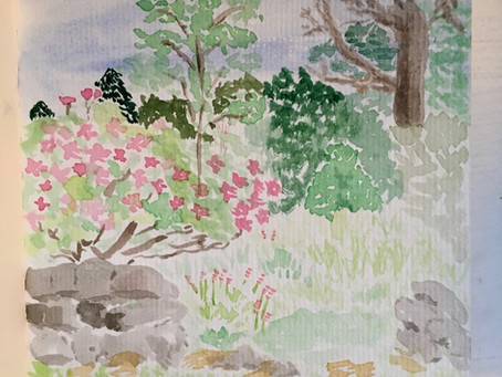 Touring the Henry Botanic Garden: A Wilderness Garden