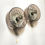 Miniature : Paire d'appliques  seventies vintage  - Appliques Space Age -  Appliques fleur  