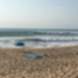 IMG_4348.jpeg