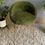 Miniature : Chaise cocktail vintage verte 