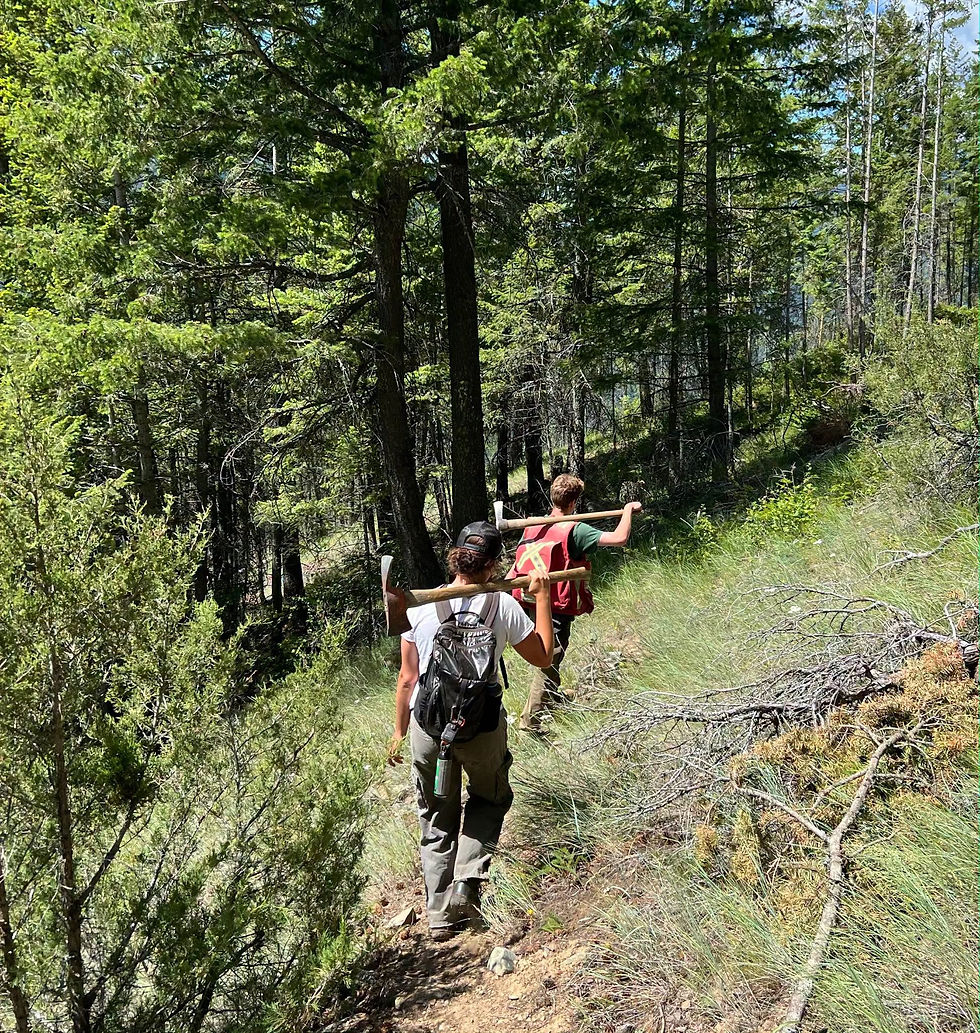 Trail Update: The Thompson Rotary Trail has reopened, we will be working on the West Ridge Trail this week, and happy to