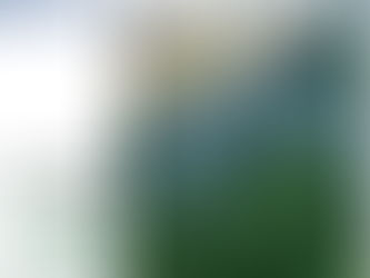 Our Reading List: the BC Forest Professionals Magazine