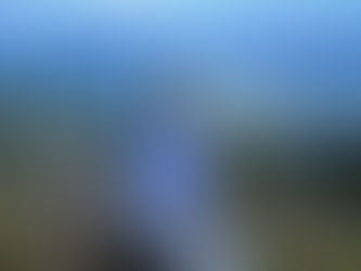 The Sullivan Creek Trail History and Experience