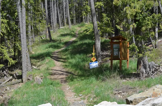 Creston Community Forest Trail Etiquette