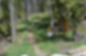Creston Community Forest Trail Etiquette