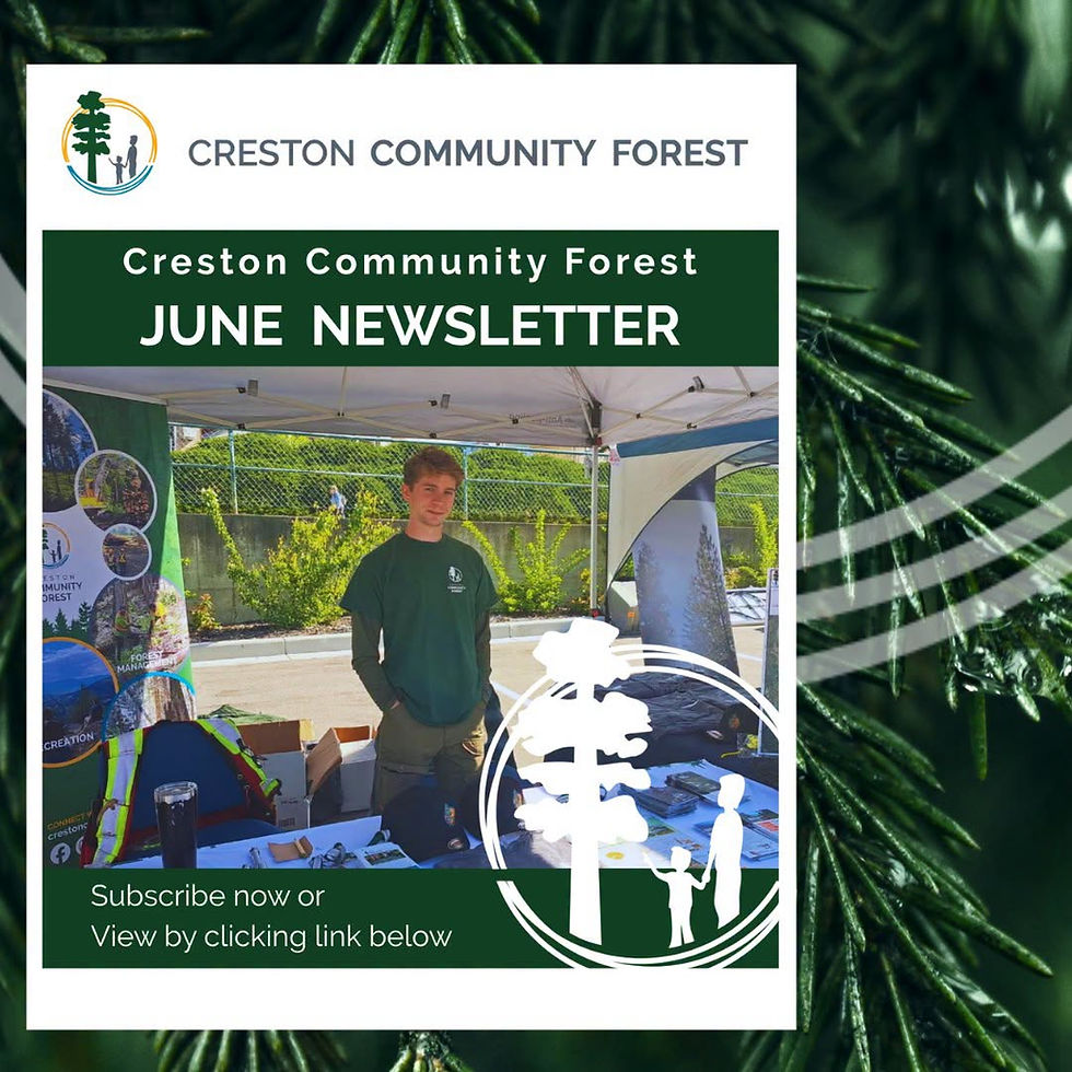 Our Quarterly Newsletter is available to read with link below.