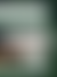 Our March Newsletter