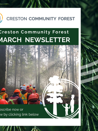 Our March Newsletter